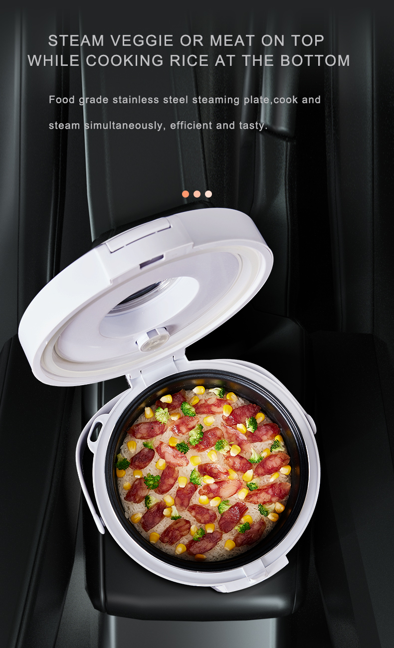 24V Rijstkoker Truck Soepstoom - Home Cooking Heater recensie en prijs
