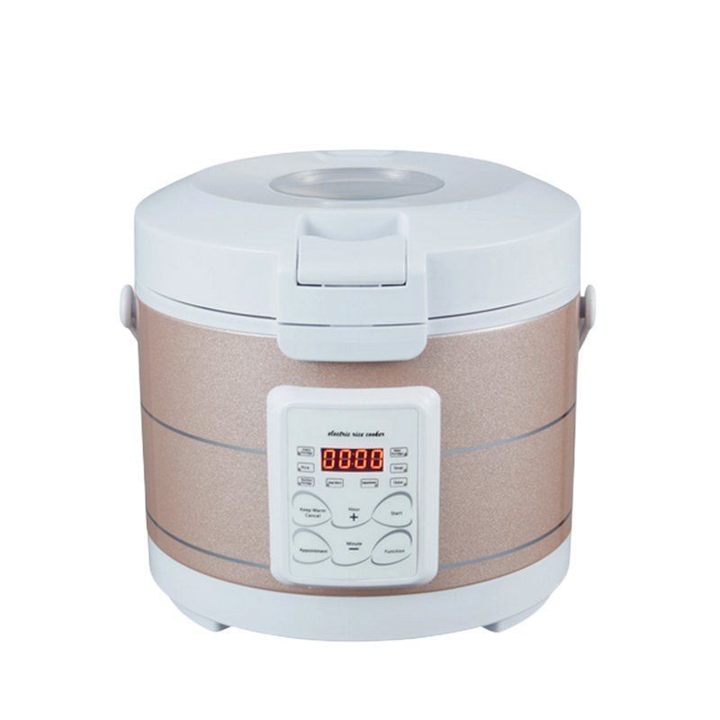 12-24V 220V Rijstkoker Soep St - Home Cooking Heater recensie en prijs