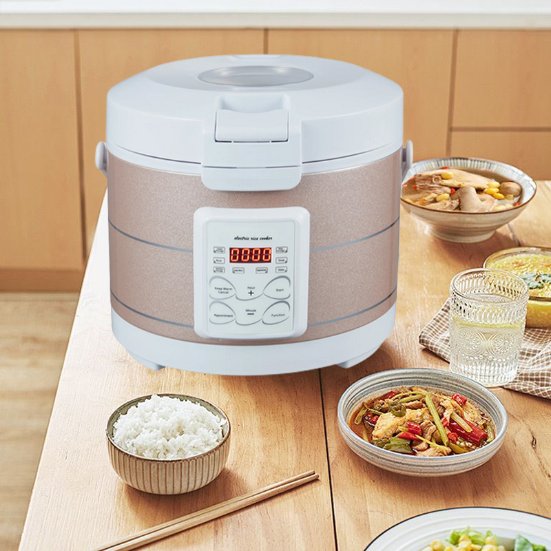12-24V 220V Rijstkoker Soep St - Home Cooking Heater recensie en prijs